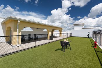 Roof Pet Park at Maitland City Centre, Maitland, FL